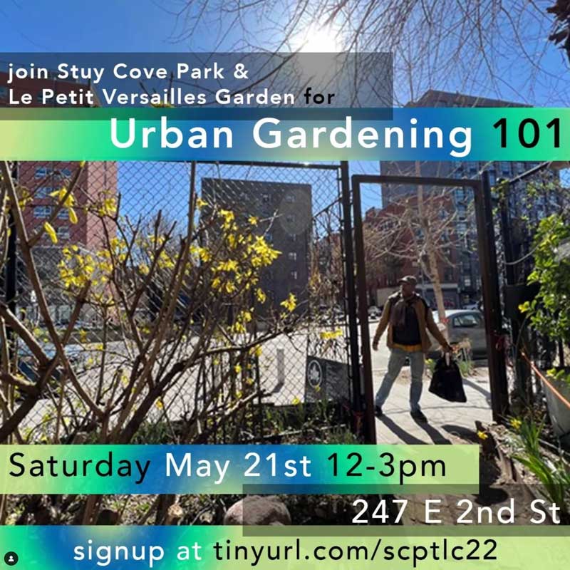 Urban Gardening