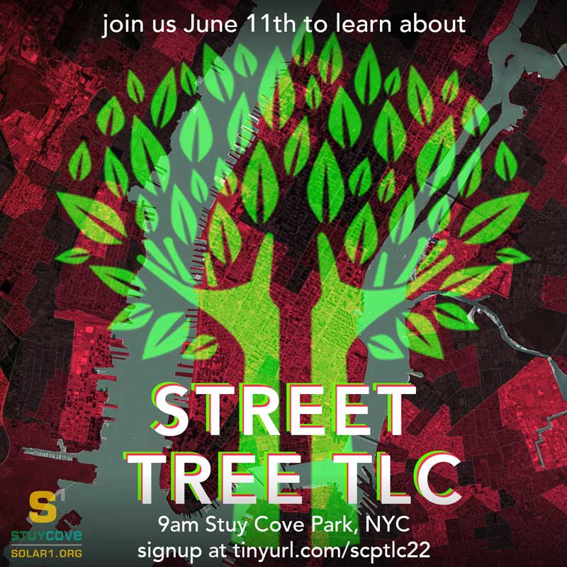 Street Tree Workshop